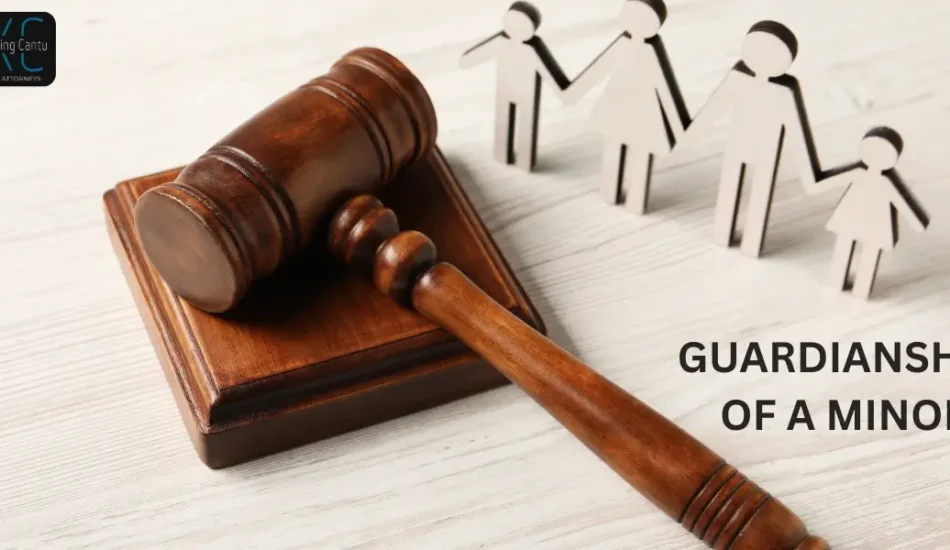 When Does a Child Need a Minor Guardian in Washington? A Complete Guide